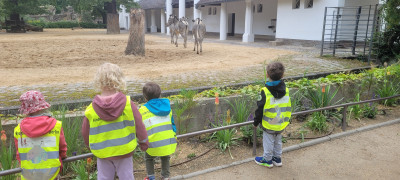 Zoo