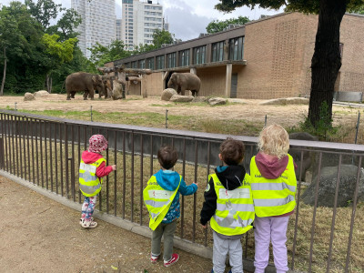 Zoo
