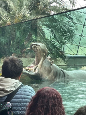 Zoo