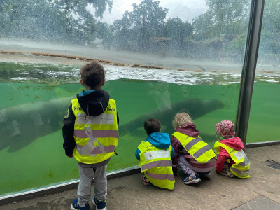 Zoo
