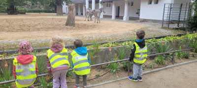 Zoo