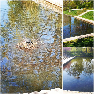 Volkspark Mariendorf Volkspark Mariendorf