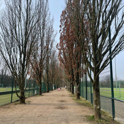 Volkspark Mariendorf Volkspark Mariendorf